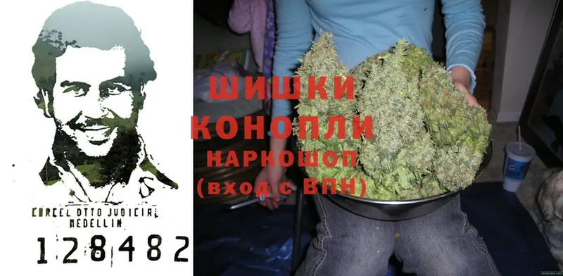 Марихуана White Widow  где найти   Коломна 